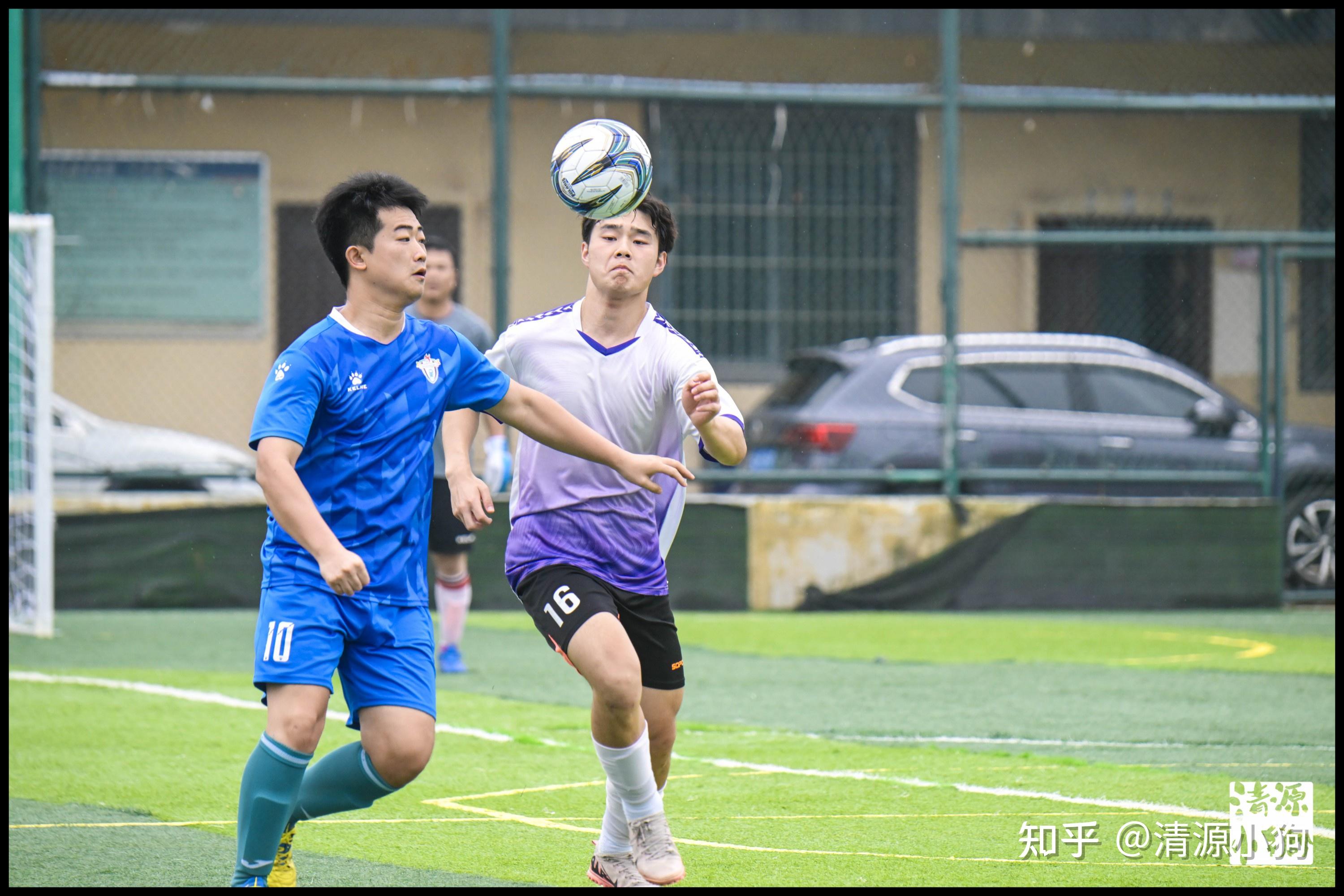 不仅损失了 不仅损失了