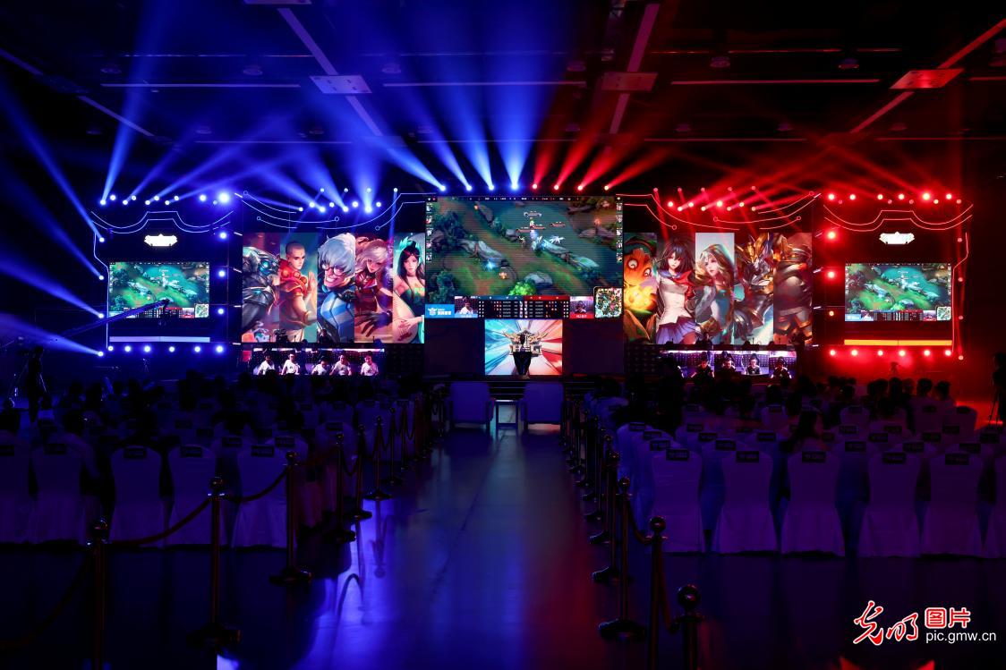 新加坡羽毛 新加坡羽毛