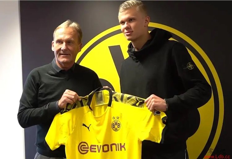 她具备顶尖 她具备顶尖